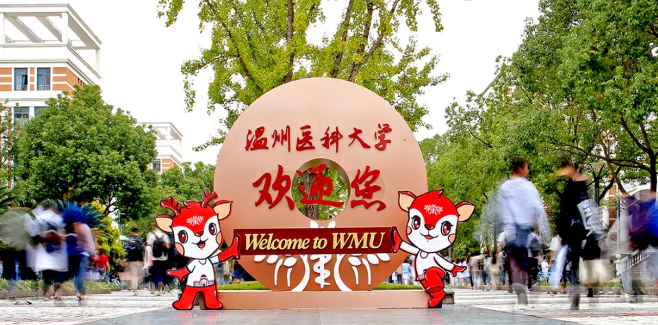 温州医科大学护理分低