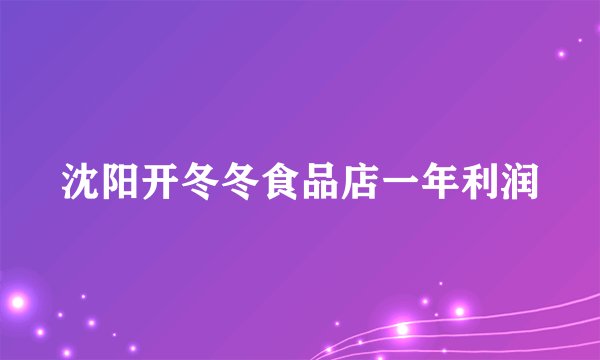 沈阳开冬冬食品店一年利润