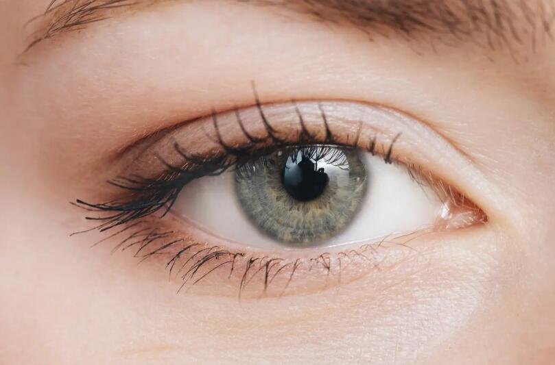 眼睛造句简单一点