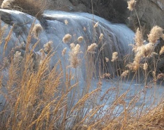 “人至贱则无敌”前面一句是什么?