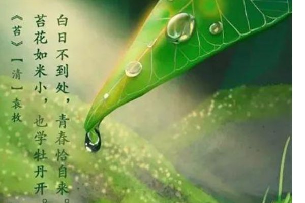 高贵的生命不卑微 是什么意思？