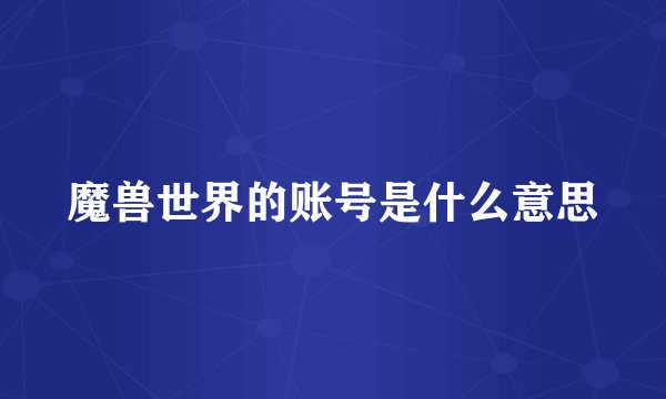 魔兽世界的账号是什么意思