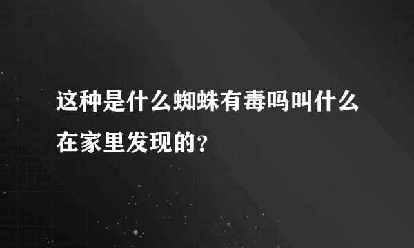 这种是什么蜘蛛有毒吗叫什么在家里发现的？