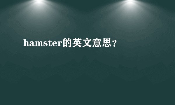 hamster的英文意思？