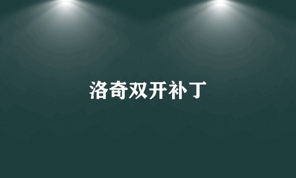 洛奇双开补丁