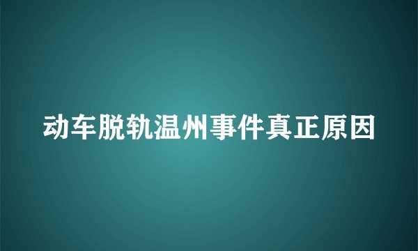 动车脱轨温州事件真正原因