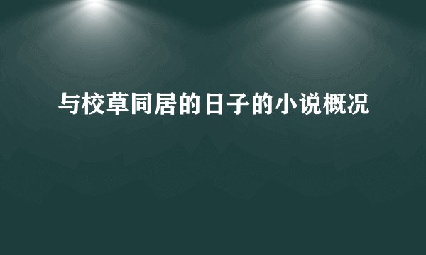 与校草同居的日子的小说概况