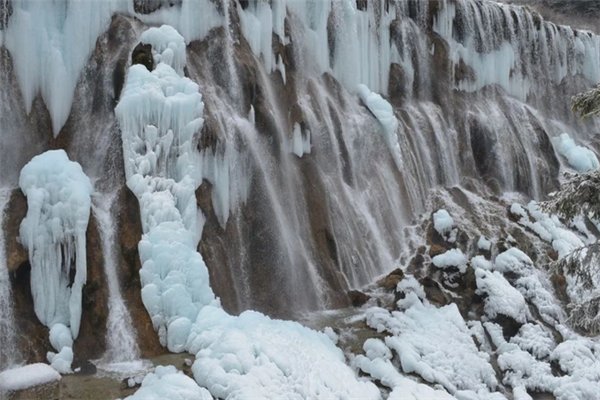 哈尔滨男子冬泳上岸时遇冰面坍塌坠江，他该如何自救？