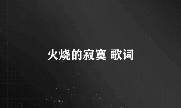 火烧的寂寞 歌词