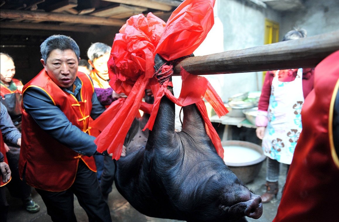 绵阳现代版庖丁解牛,小伙蒙眼剔猪骨,其动作是如何做到行云如流水的?