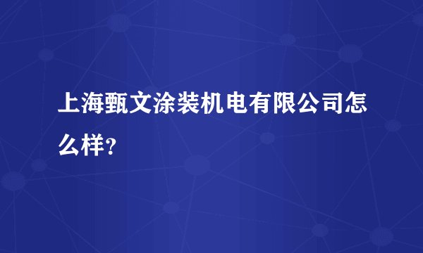 上海甄文涂装机电有限公司怎么样？