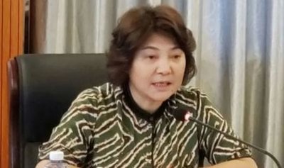上海一女公安局长被逮捕，她将受到哪些惩罚？