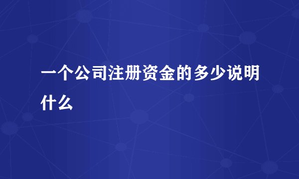一个公司注册资金的多少说明什么