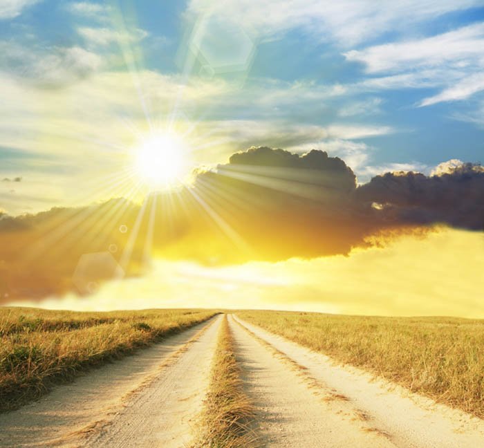 阳光有什么用？