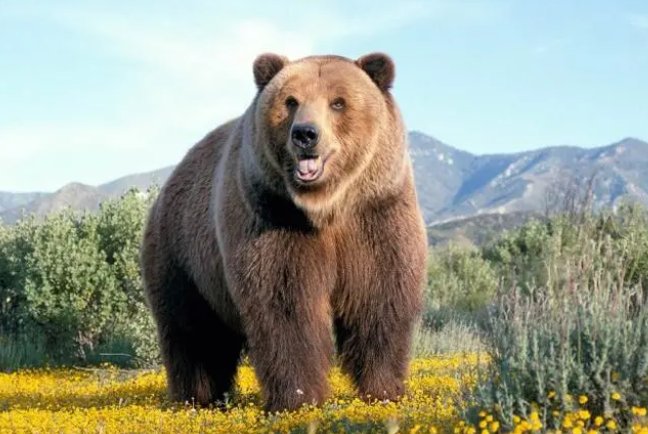 肿这个字怎么组词