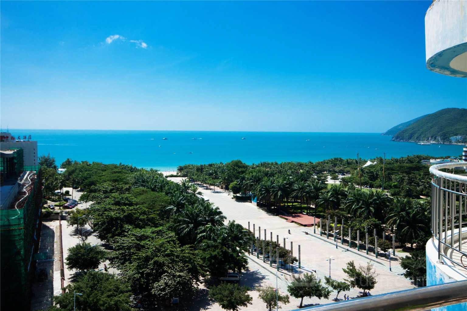 金山碧海的介绍