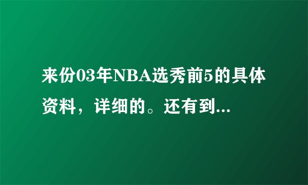 来份03年NBA选秀前5的具体资料，详细的。还有到目前为止他们各自得到的数据和荣誉。