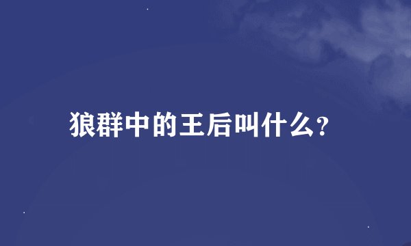 狼群中的王后叫什么？
