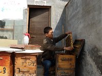 蜜蜂是如何降低蜂蜜中的水分