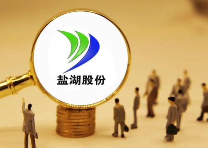 制盐的上市公司有哪些