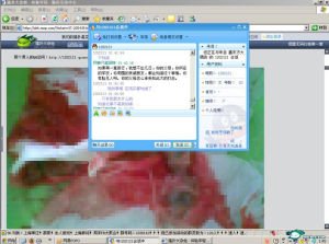 堕胎门的相关网友评论