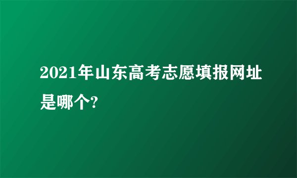 2021年山东高考志愿填报网址是哪个?