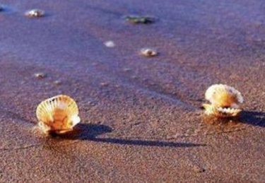 余组词有哪些词语