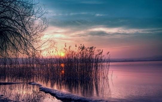 祥瑞的意思是什么？