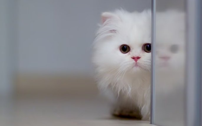 就是…也⋯⋯造句