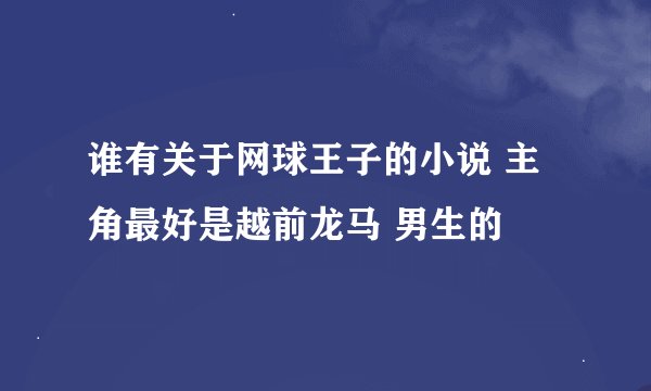 谁有关于网球王子的小说 主角最好是越前龙马 男生的
