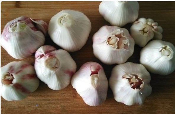 10斤大蒜放多少糖和醋？