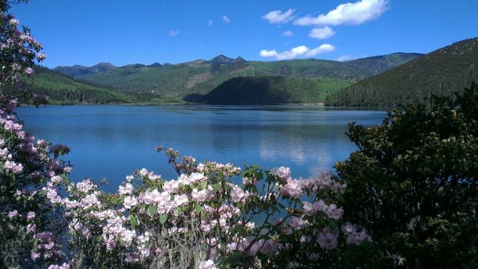 请问从丽江怎么去香格里拉？