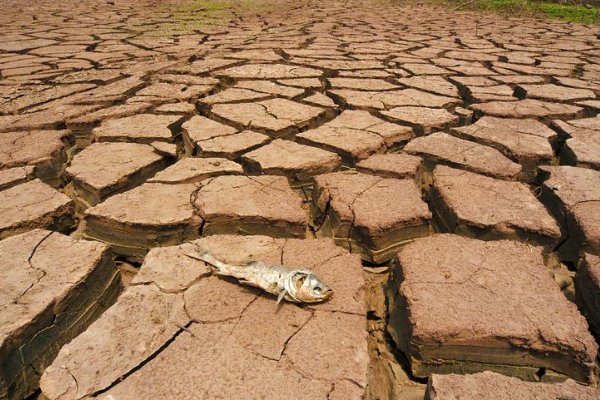 气候变化的利弊有哪些
