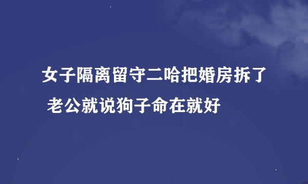 女子隔离留守二哈把婚房拆了 老公就说狗子命在就好