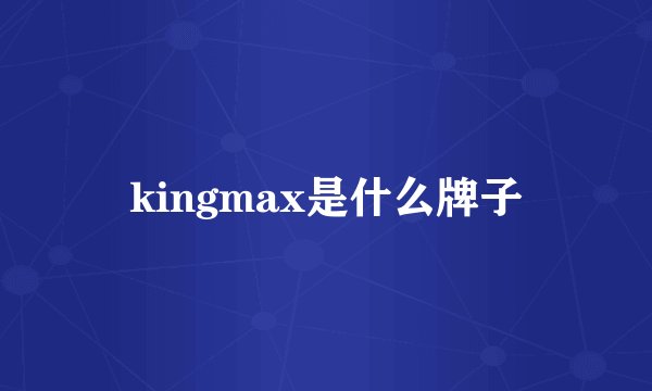 kingmax是什么牌子