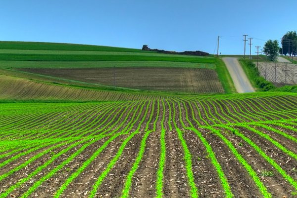 公顷和亩的进率是多少？