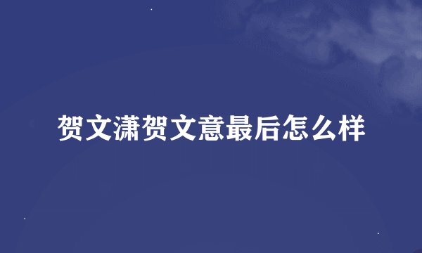 贺文潇贺文意最后怎么样