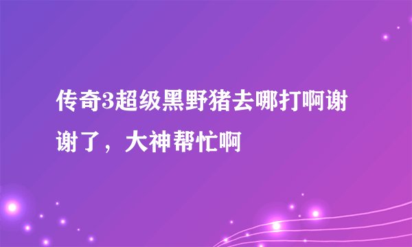 传奇3超级黑野猪去哪打啊谢谢了，大神帮忙啊
