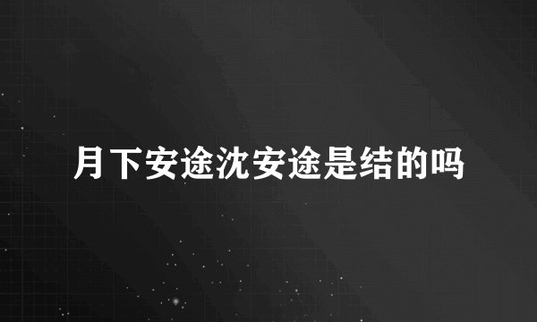 月下安途沈安途是结的吗