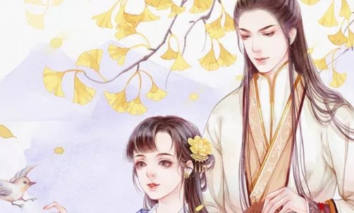 桩桩的全部作品