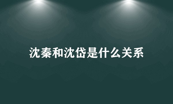 沈秦和沈岱是什么关系