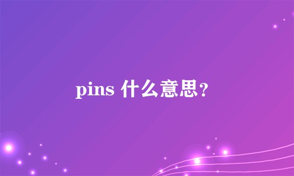 pins 什么意思？