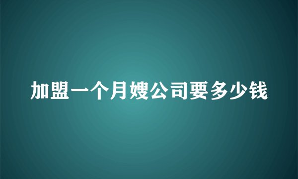 加盟一个月嫂公司要多少钱