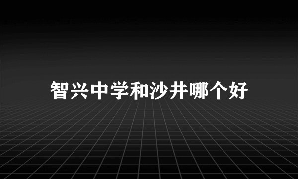 智兴中学和沙井哪个好