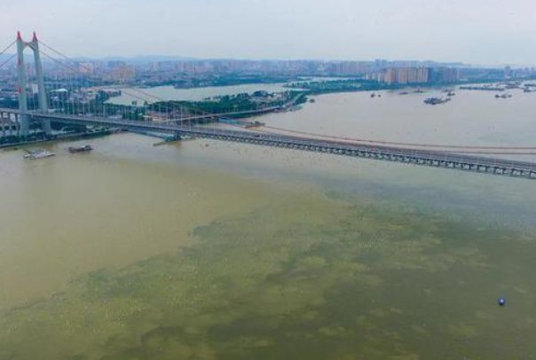 甘居下流的意思