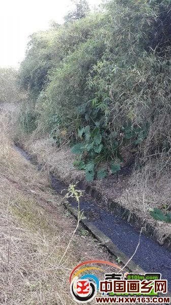 山内直实的介绍