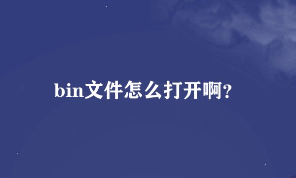 bin文件怎么打开啊？