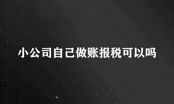 小公司自己做账报税可以吗