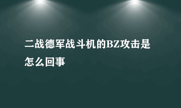 二战德军战斗机的BZ攻击是怎么回事