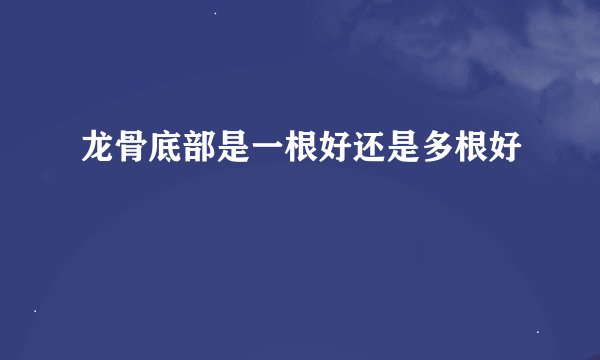 龙骨底部是一根好还是多根好